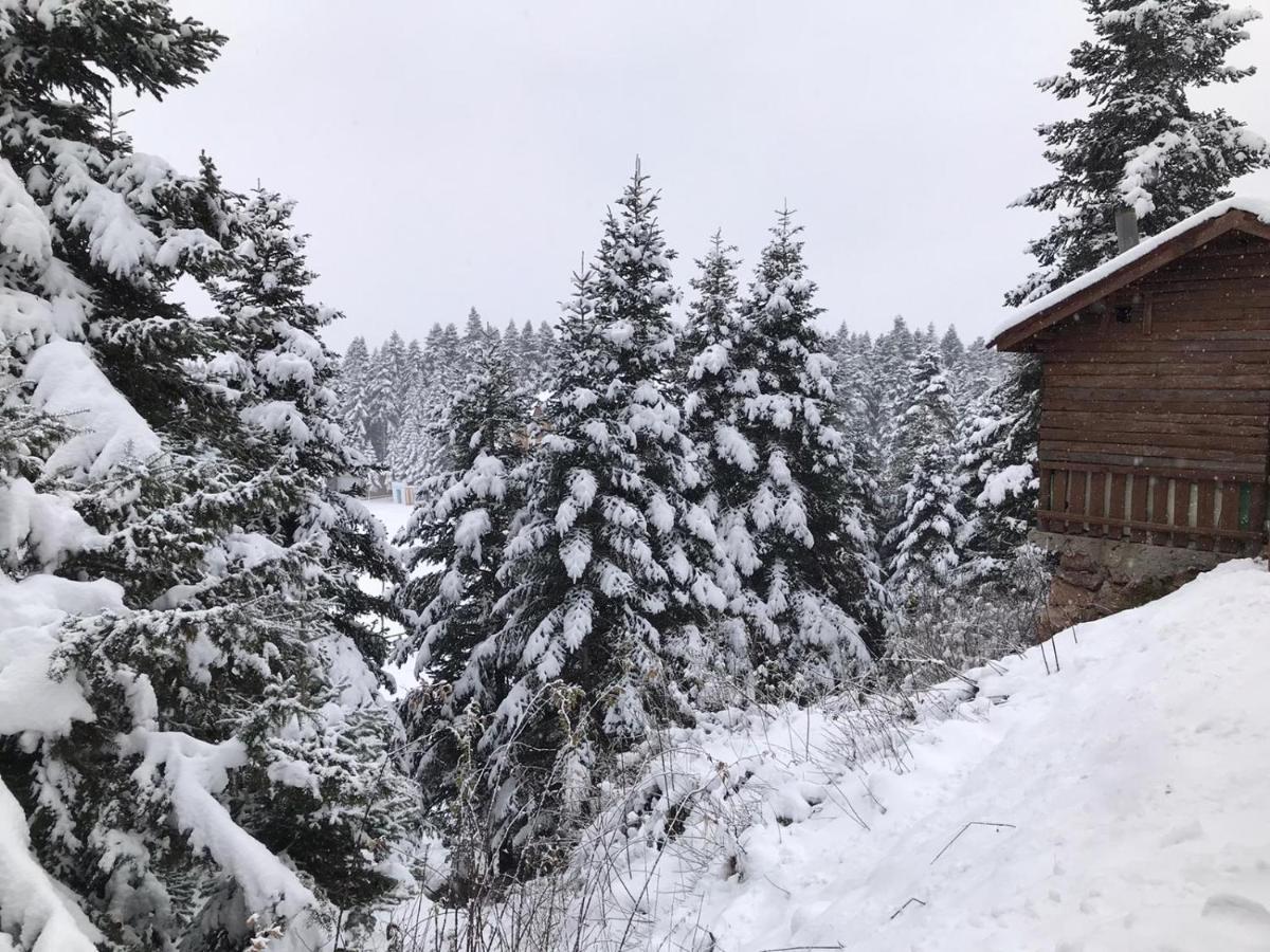 Hotel Elifim Bolu