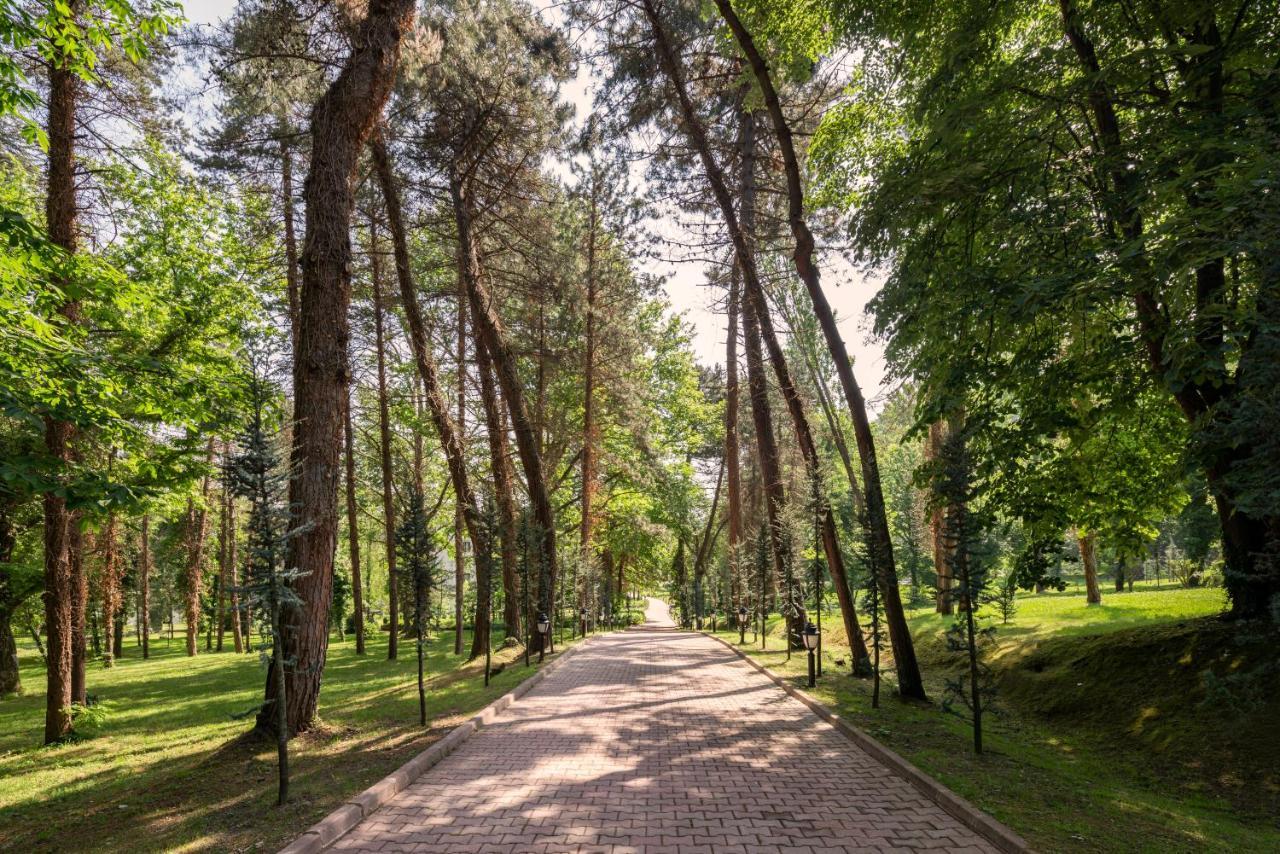 Resort Ng Wellness & Convention