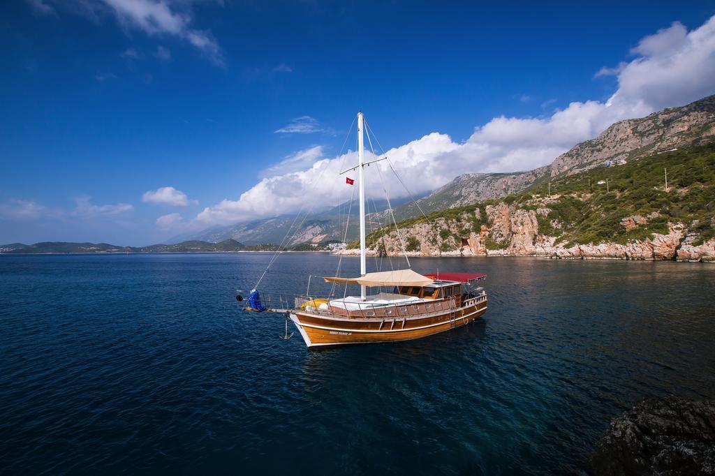 Blue Cruise *