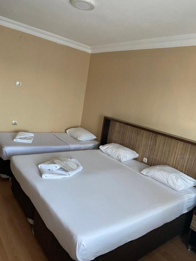 Hotel Odrys &