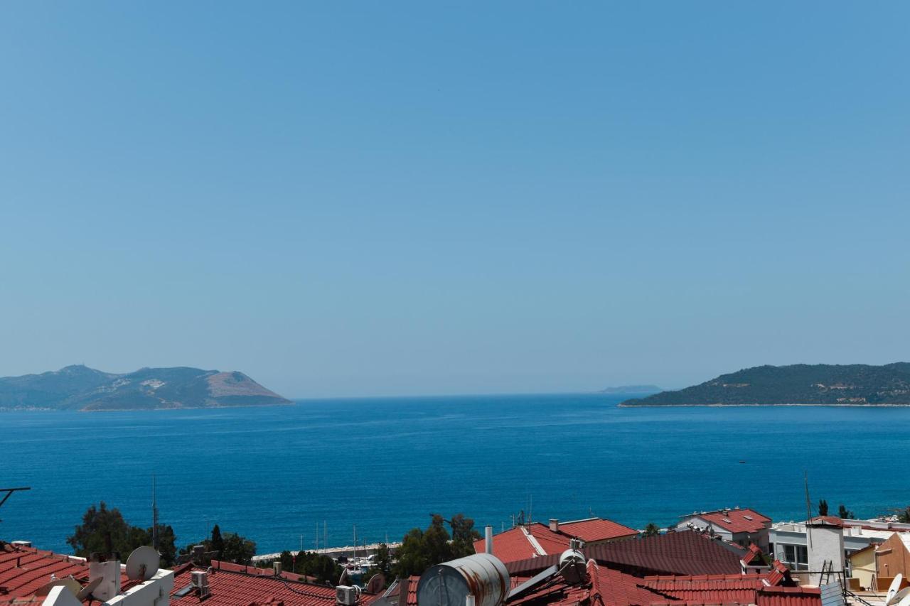 Bed & Breakfast Smyrna 3*