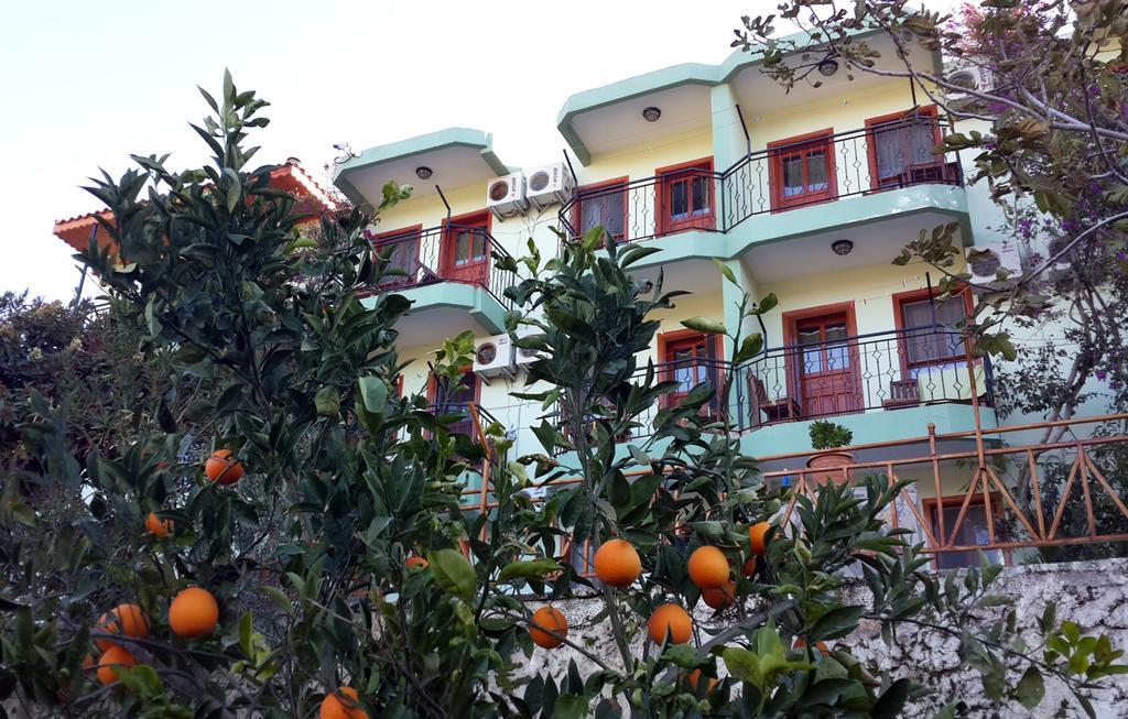 Delfin Hotel 2*