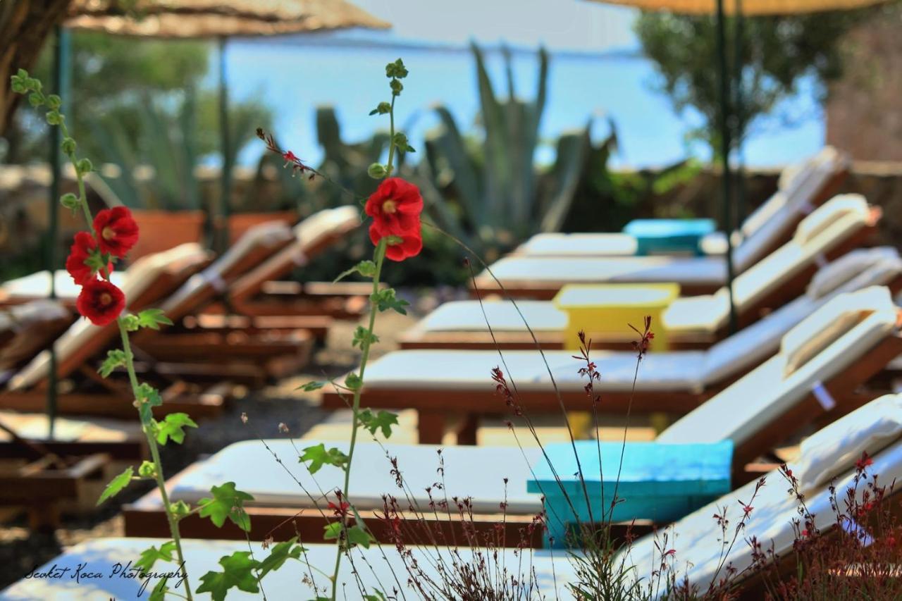 Cunda Lena Guest house Ayvalik