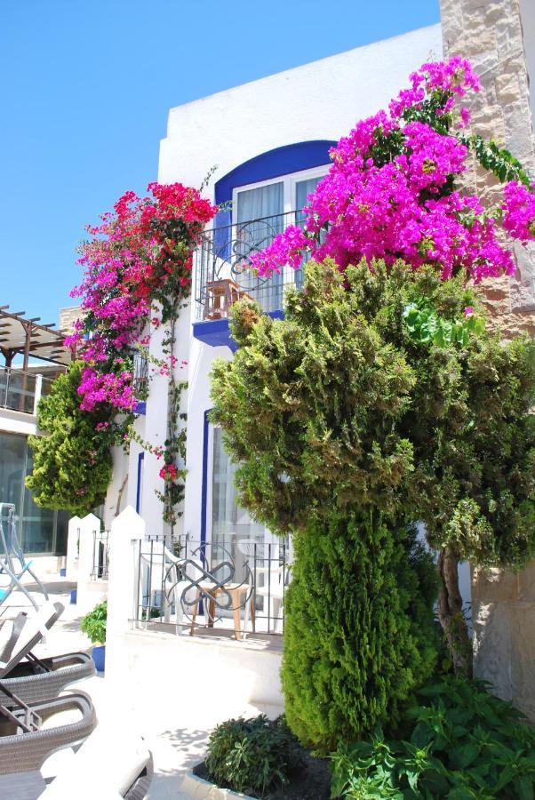 Serpina (adults Only) Hotel Bodrum