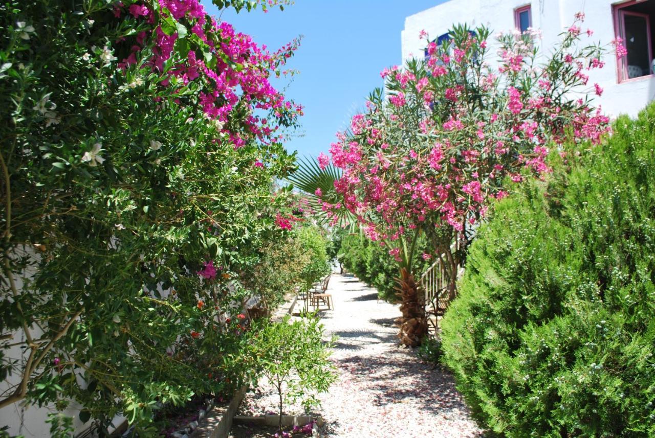 Hotel Serpina (adults Only) 3*