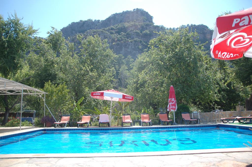 Sirius Guest house