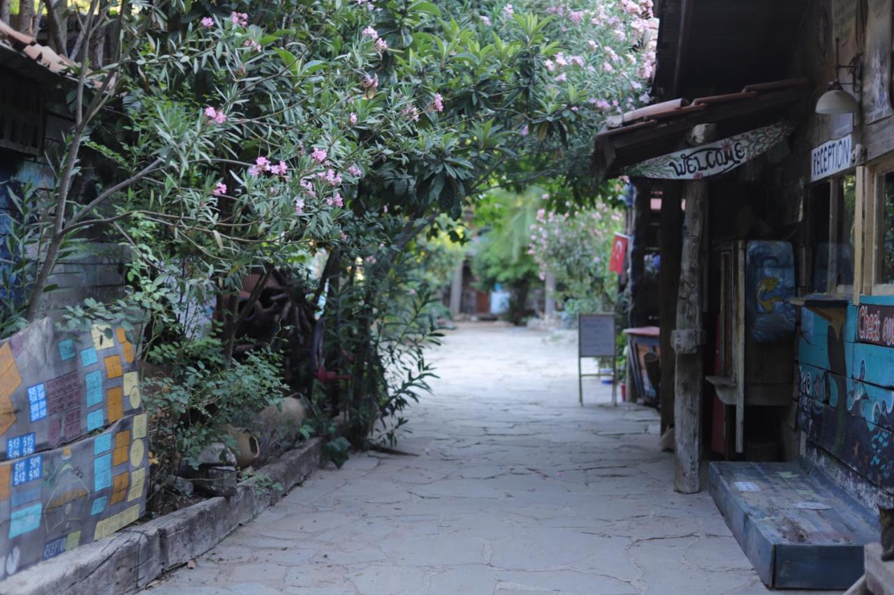 Kadir's Tree Hostel