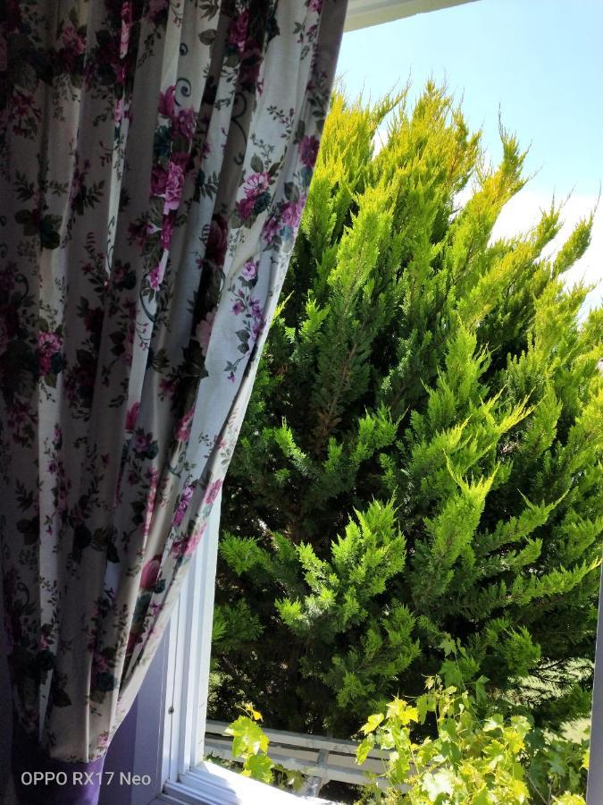 Maviev Hotel Cesme