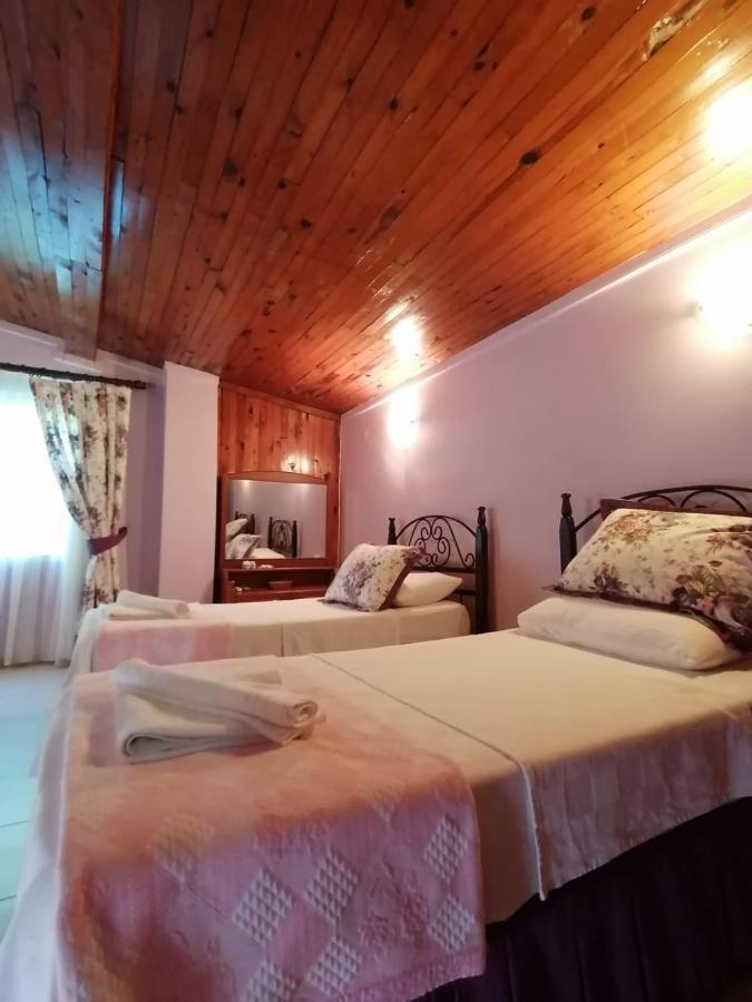 Maviev Hotel 3*