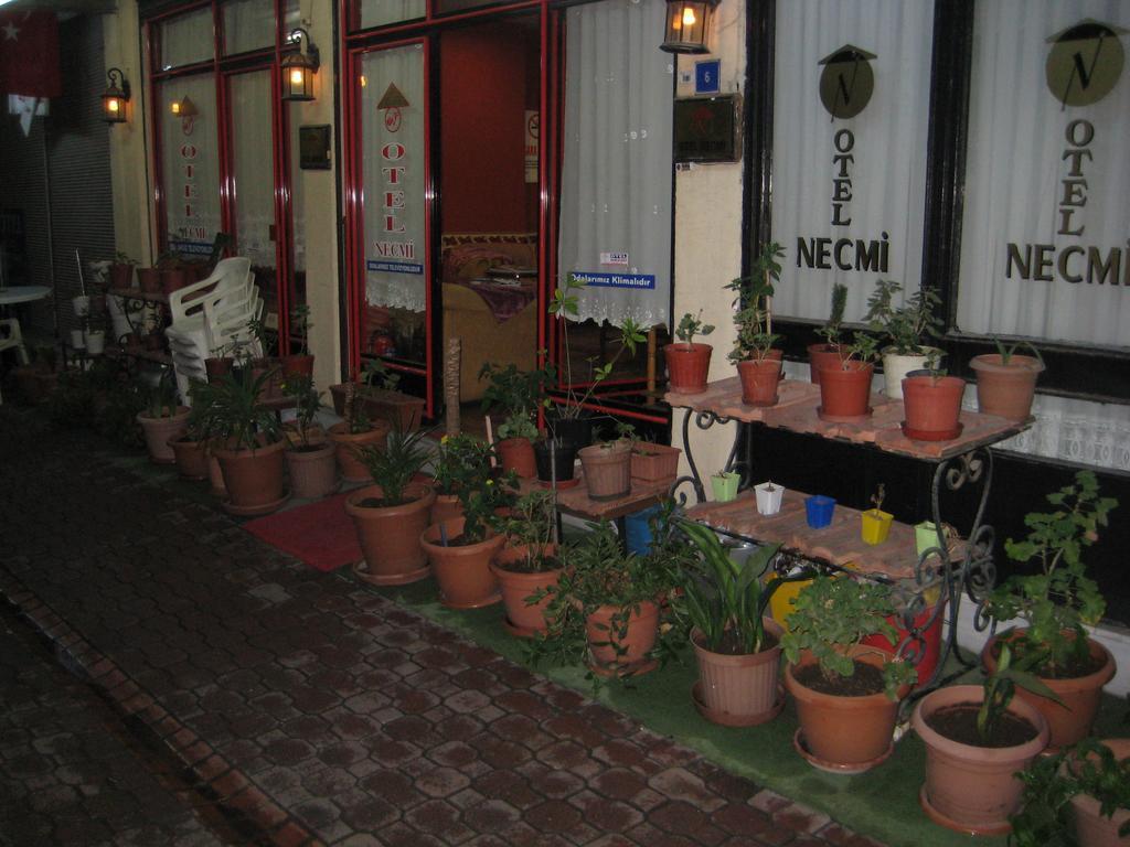 Guest house Necmi *