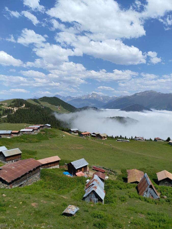 Didi Butik Rize