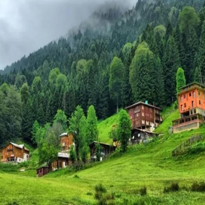 Didi Butik * Rize