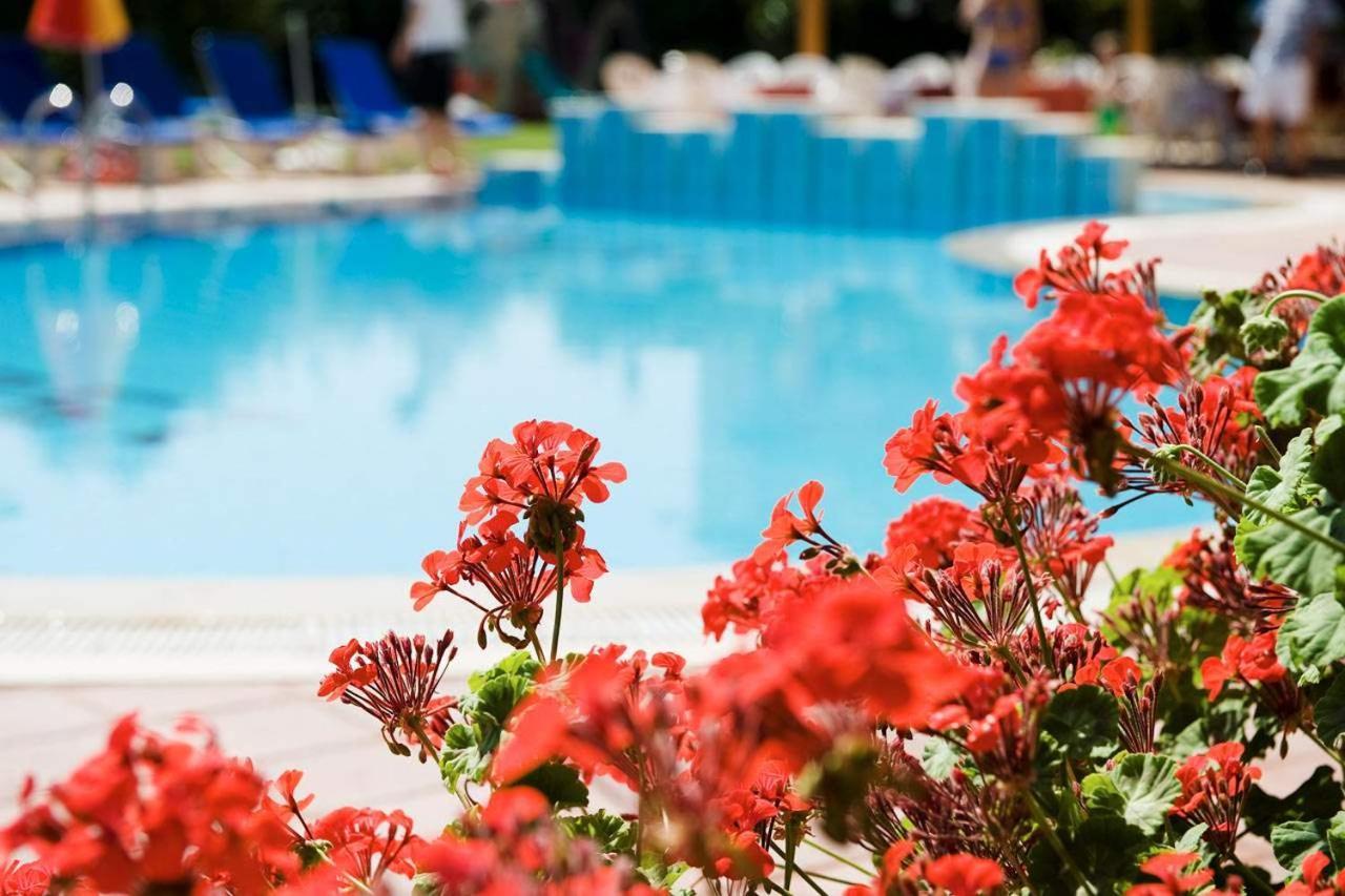 Aparthotel Begonville