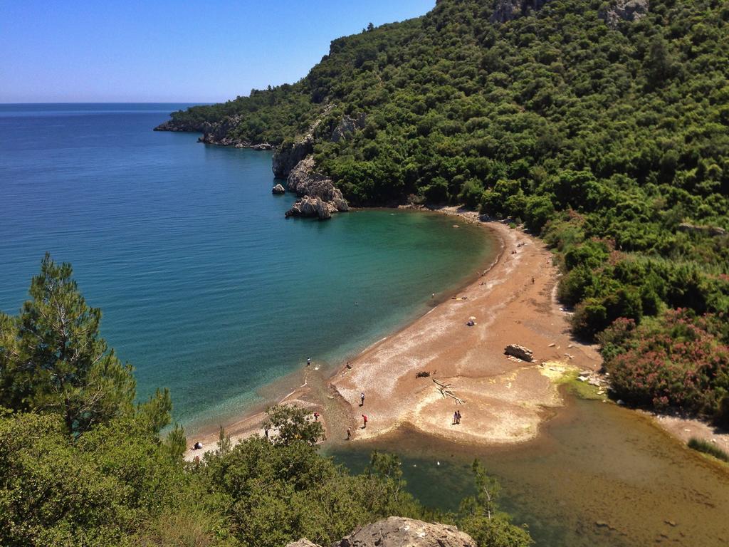 Kadir's Tree Hostel Olympos