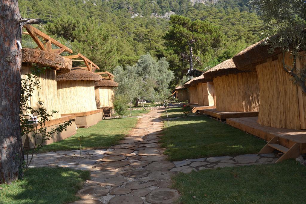 Chakra Kabak 3* Faralya