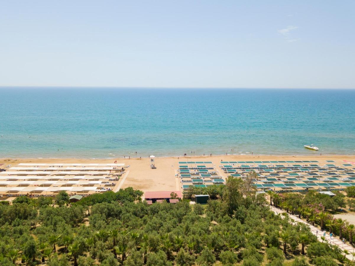 Alba Royal (adults Only)