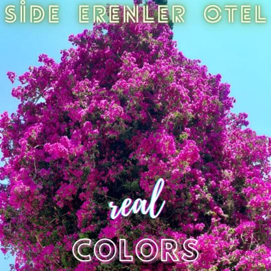 Hotel Erenler