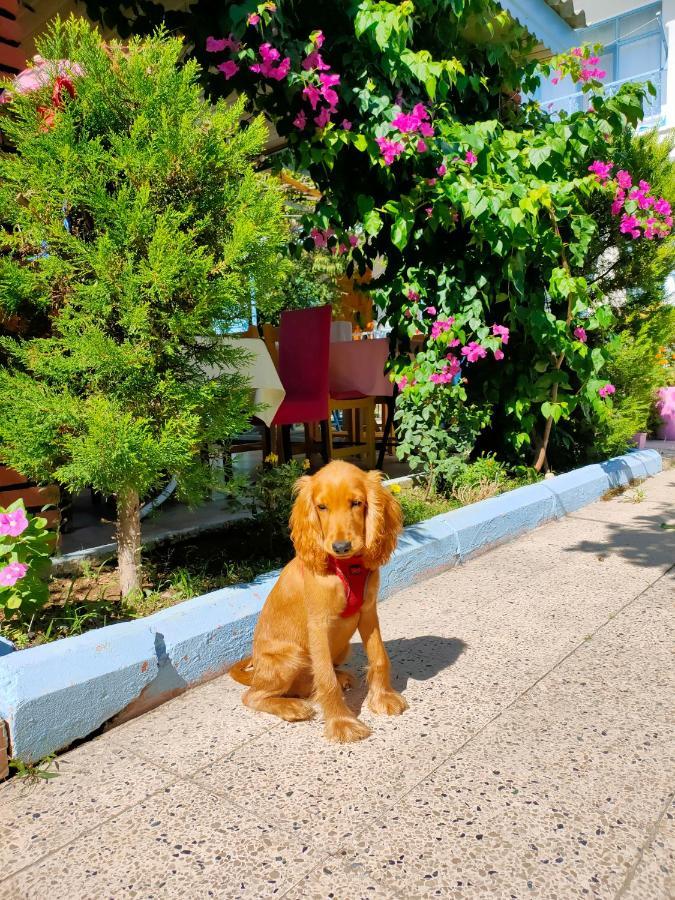 Hotel Erenler