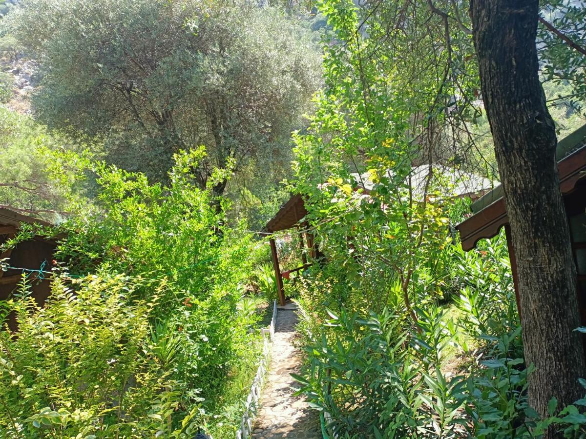 Canario Lodge Cirali