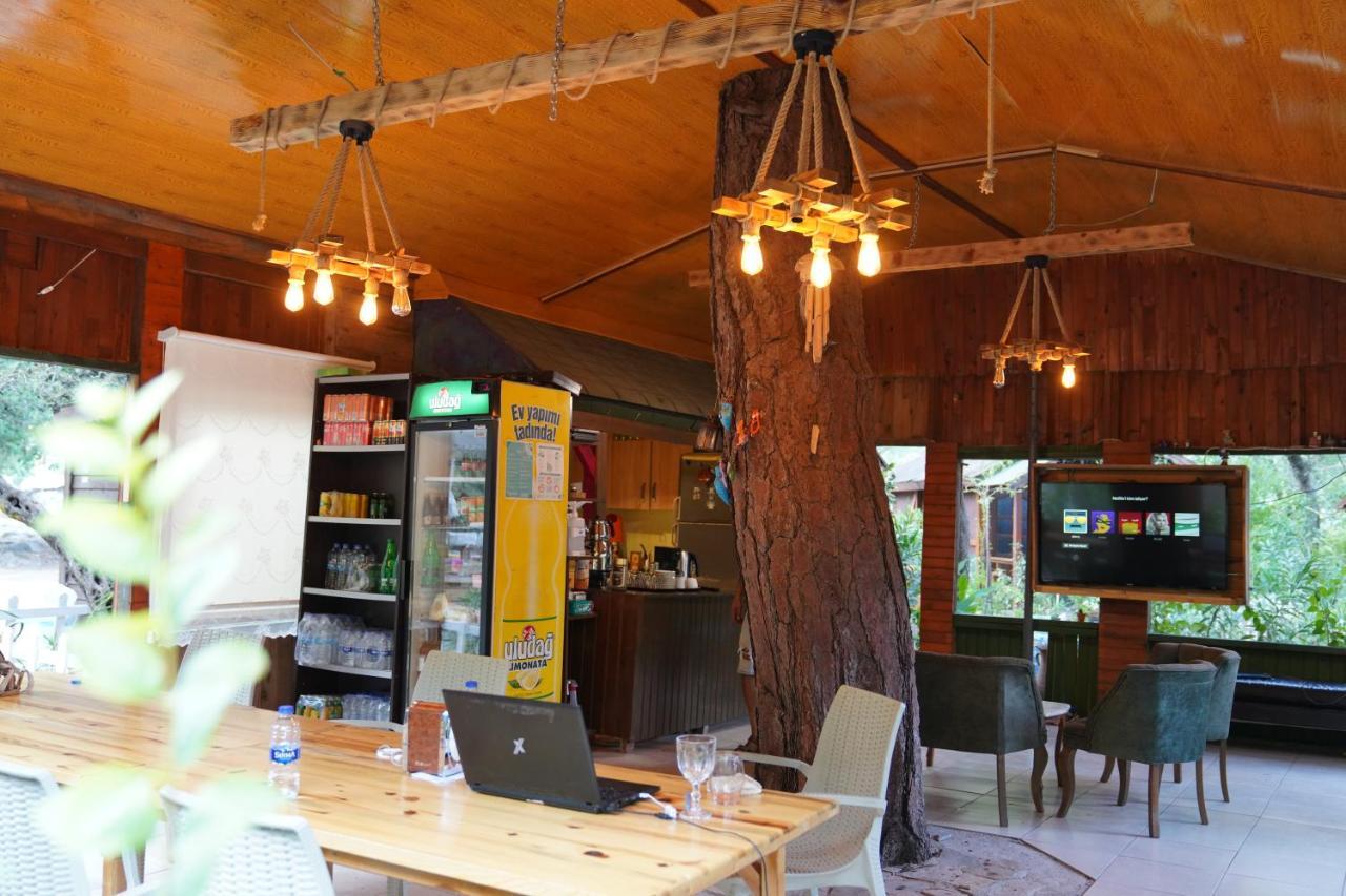 Canario Lodge