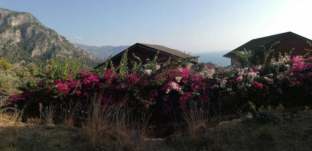 Hotel Kabak Armes
