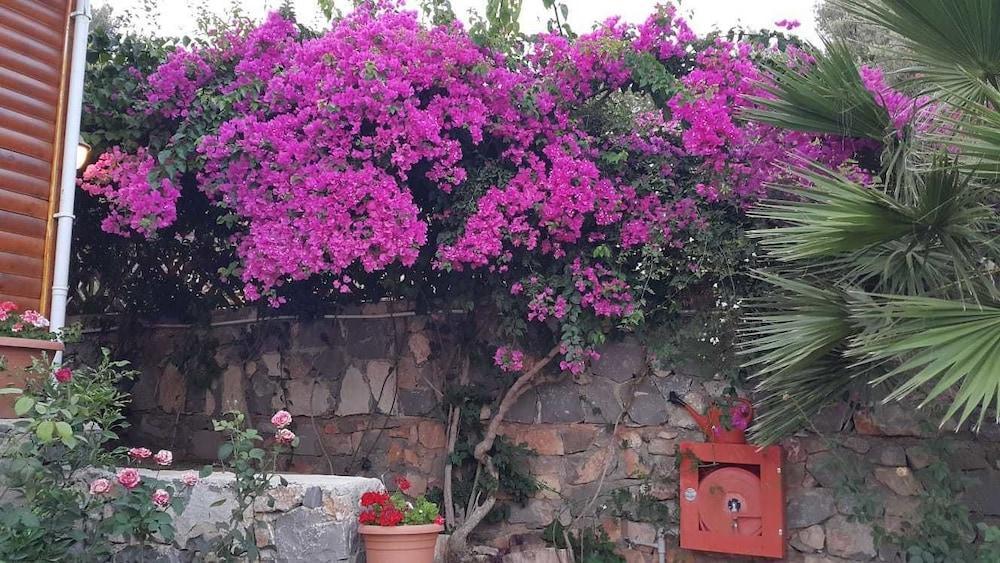 Hotel Kabak Armes Faralya