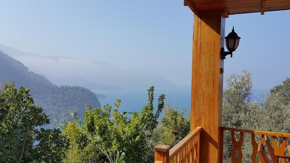 Kabak Armes Faralya