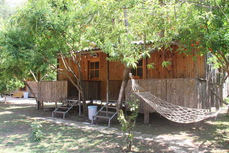 Holiday park Turkmen Tree