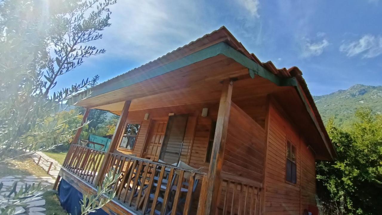 Lycia Nature House