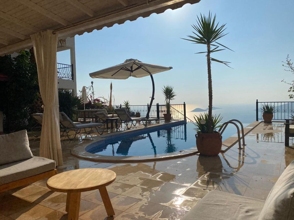 Sezen Kalkan