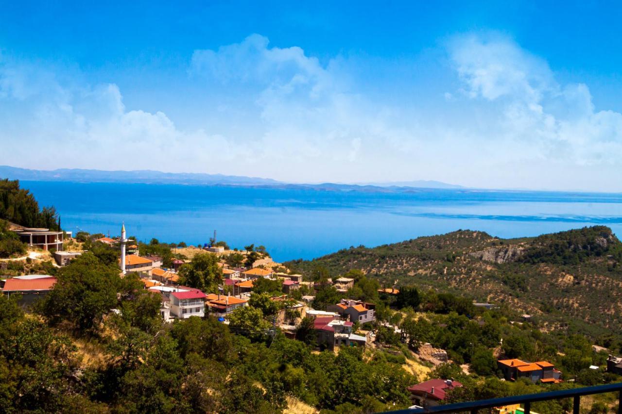 Assos Kayalar Terrace Sazli