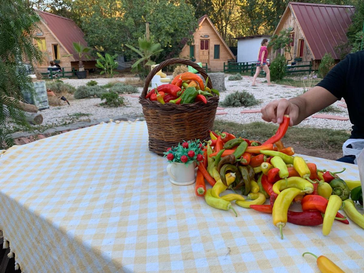 Pusula Kayakoy