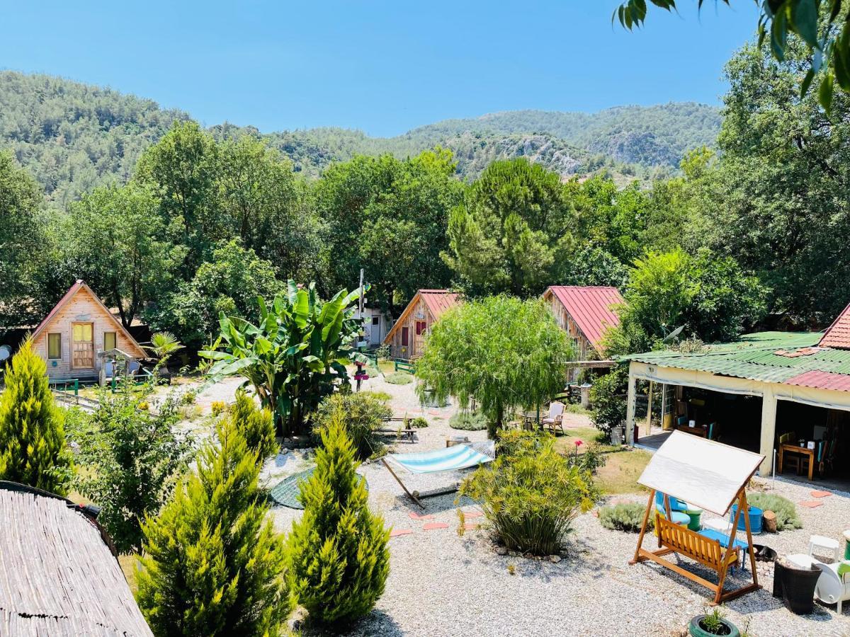 Hotel Pusula