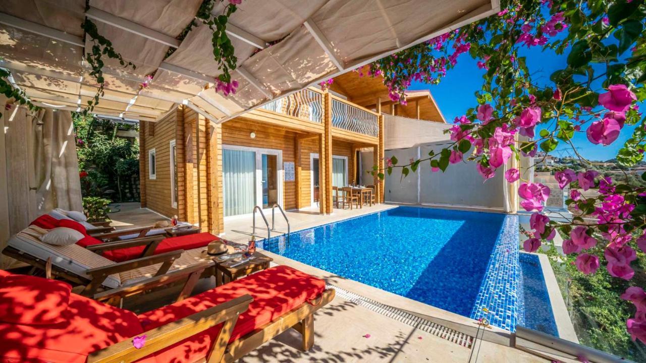 Villa Eco Anemon *