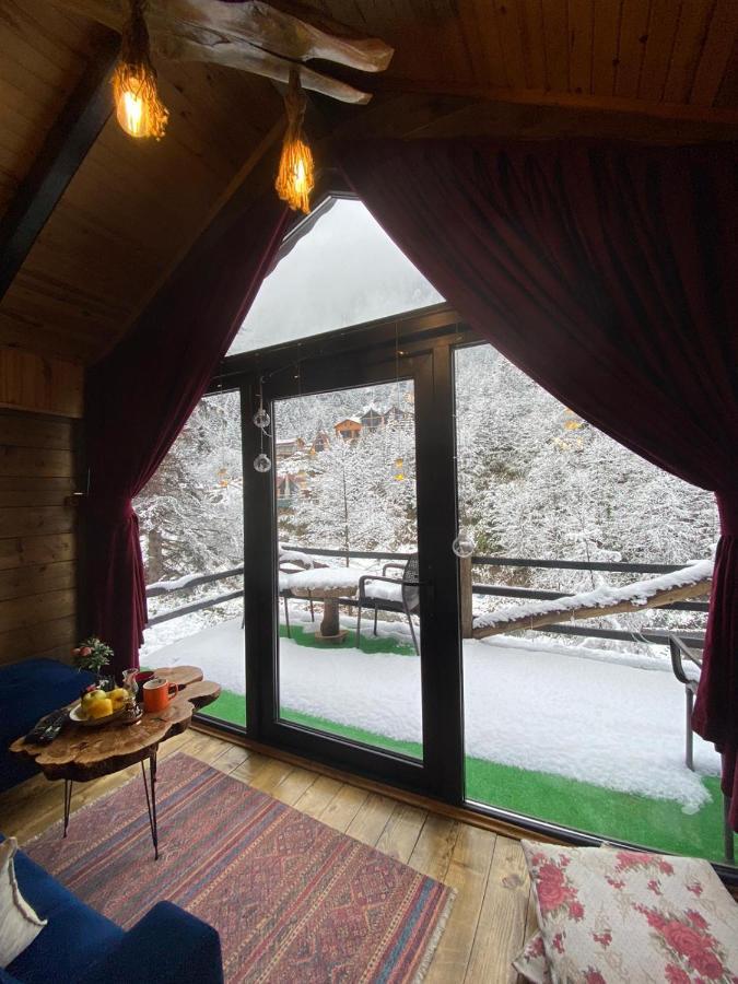 Gueven Dag Evi Ayder Yaylasi