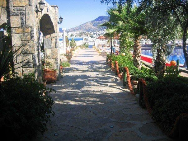 Club Bozok 3* Gumbet