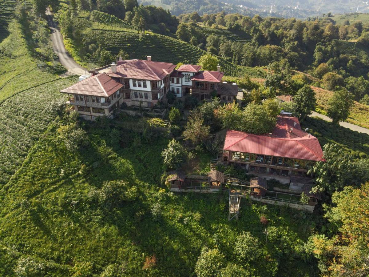 Kaf Dagi Rize