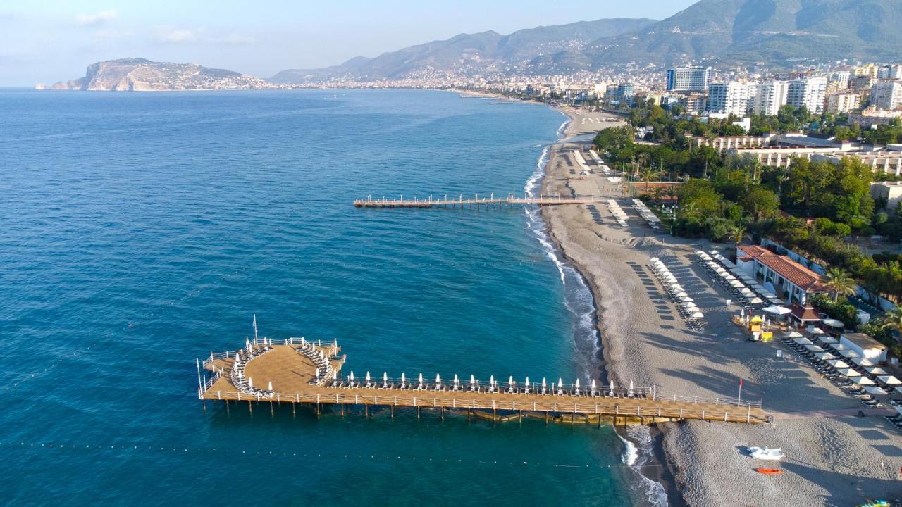 Club Paradiso & 5*
