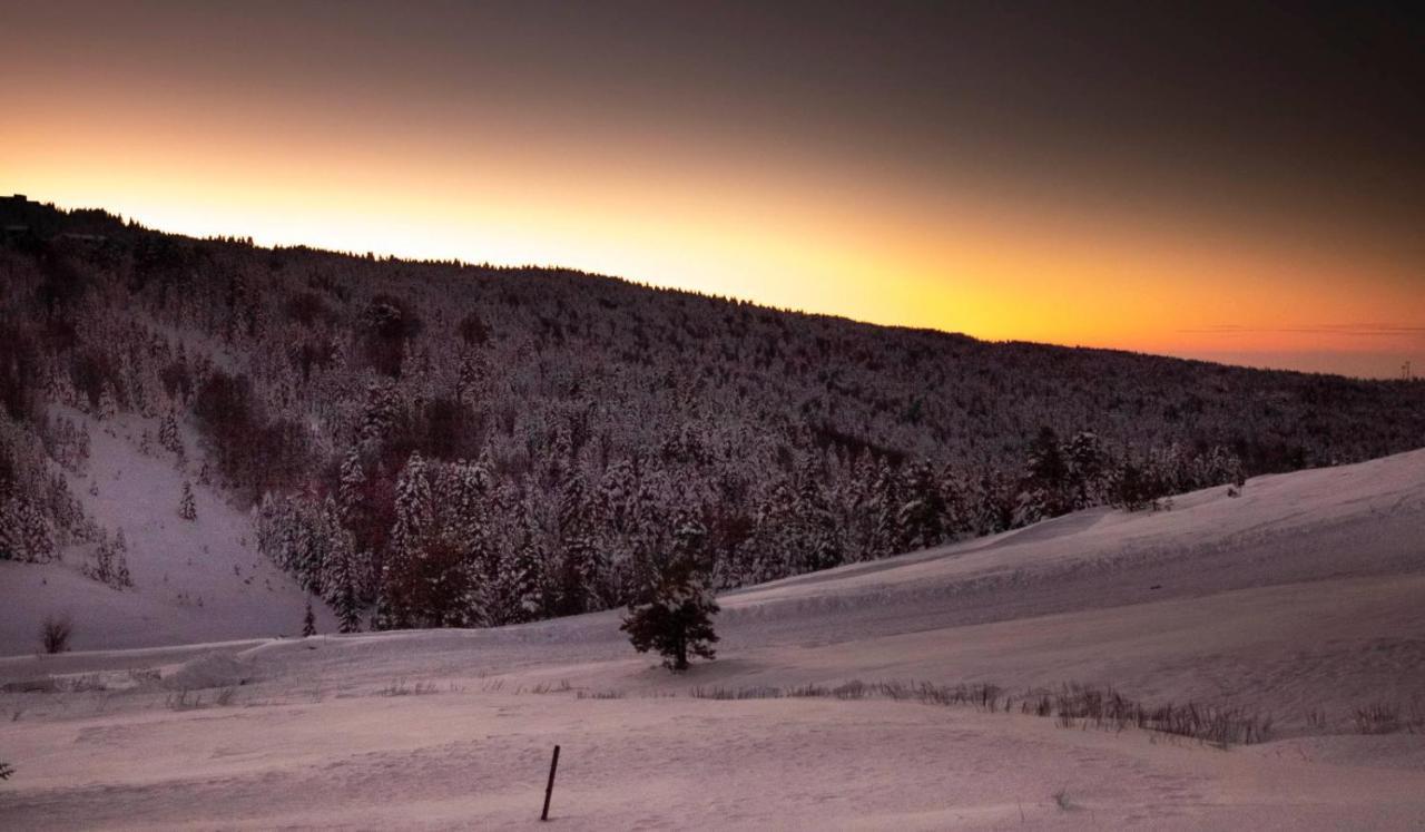 Agaoglu My Mountain 4* Uludag (Bursa)