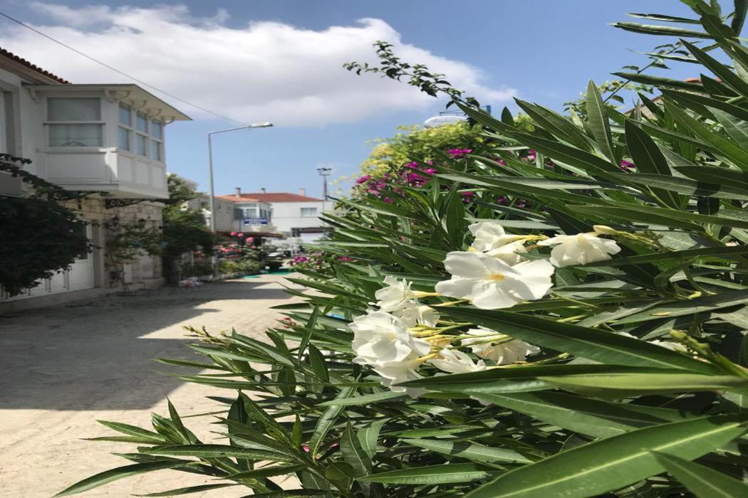 Guest house Beyaz Ev Alacati