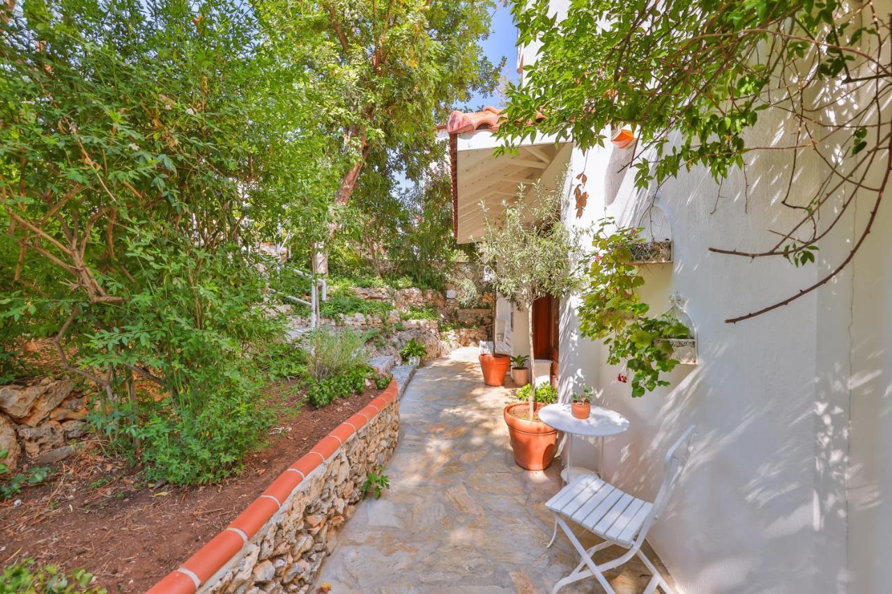 Olea Nova Hotel