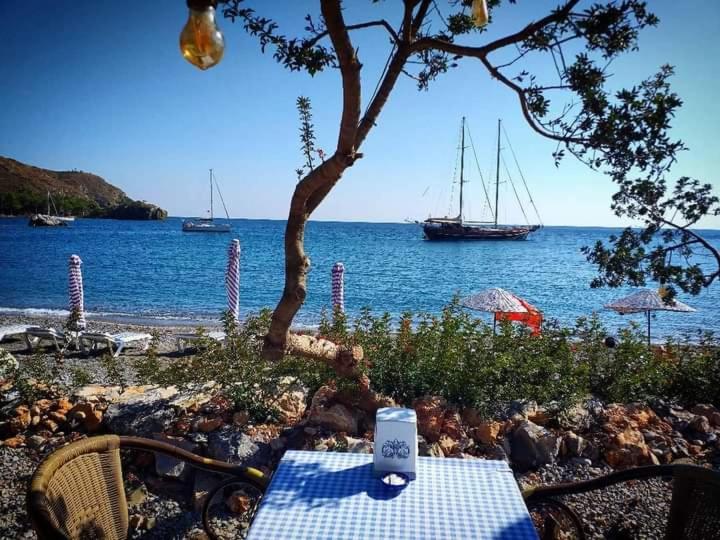 Bed & Breakfast Masal Gibi *