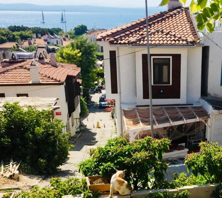 Vapori Bozcaada