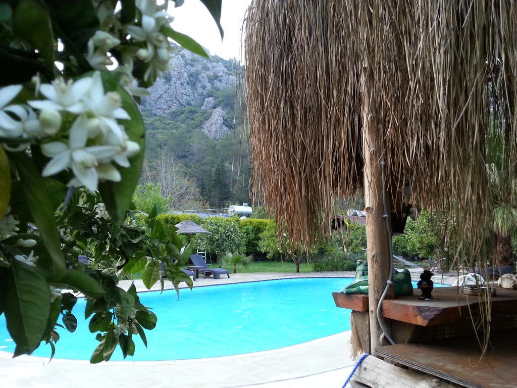 Lodge Portalimo - Adult Only +12