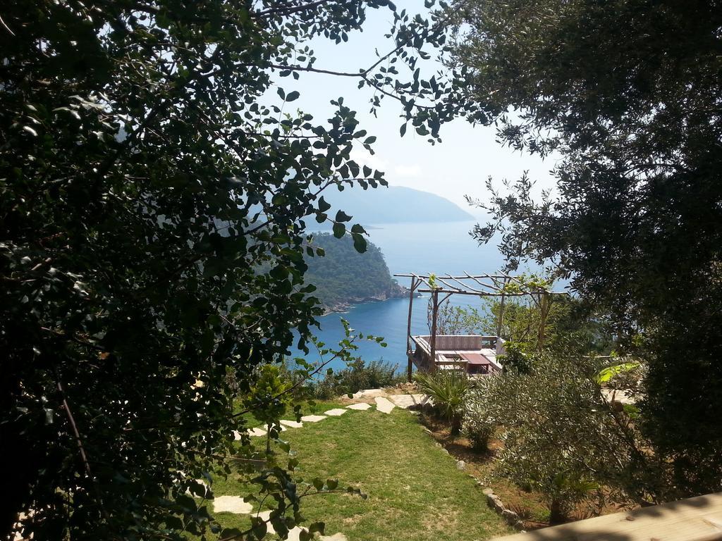 Holiday park Olive Garden Kabak 2*
