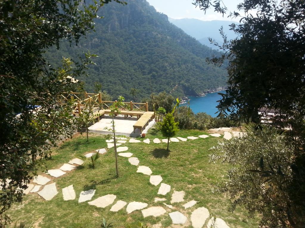 Olive Garden Kabak 2*