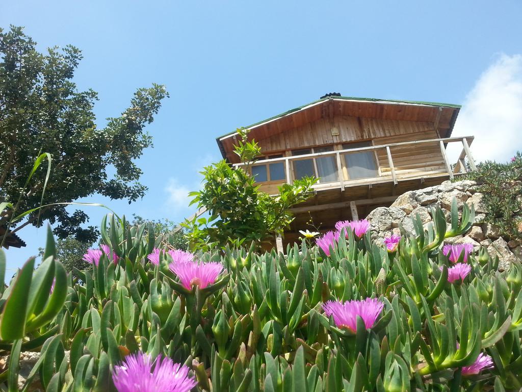 Olive Garden Kabak Holiday park 2*