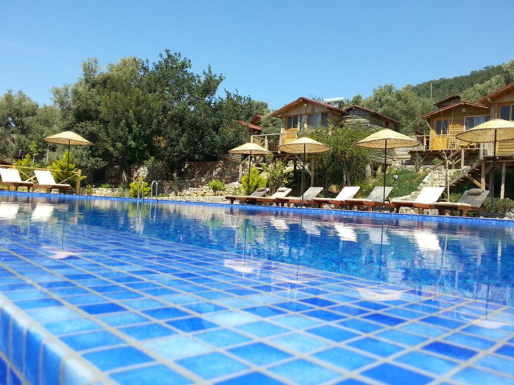 Holiday park Olive Garden Kabak 2*
