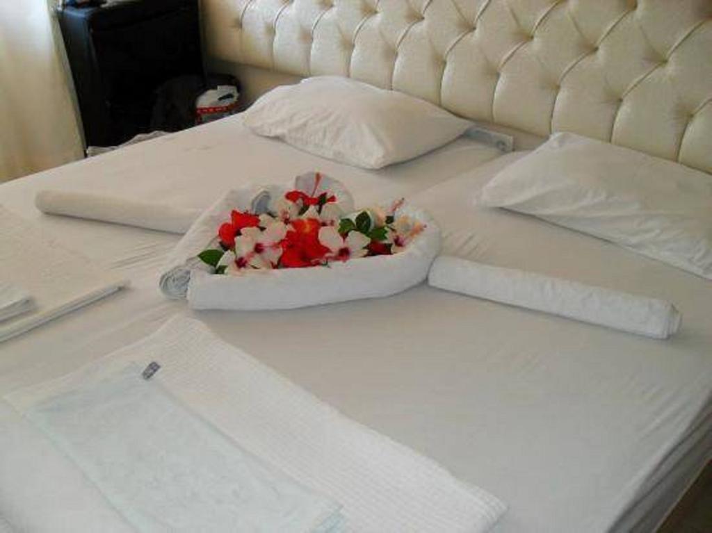 Hotel Samoy Bed & Breakfast