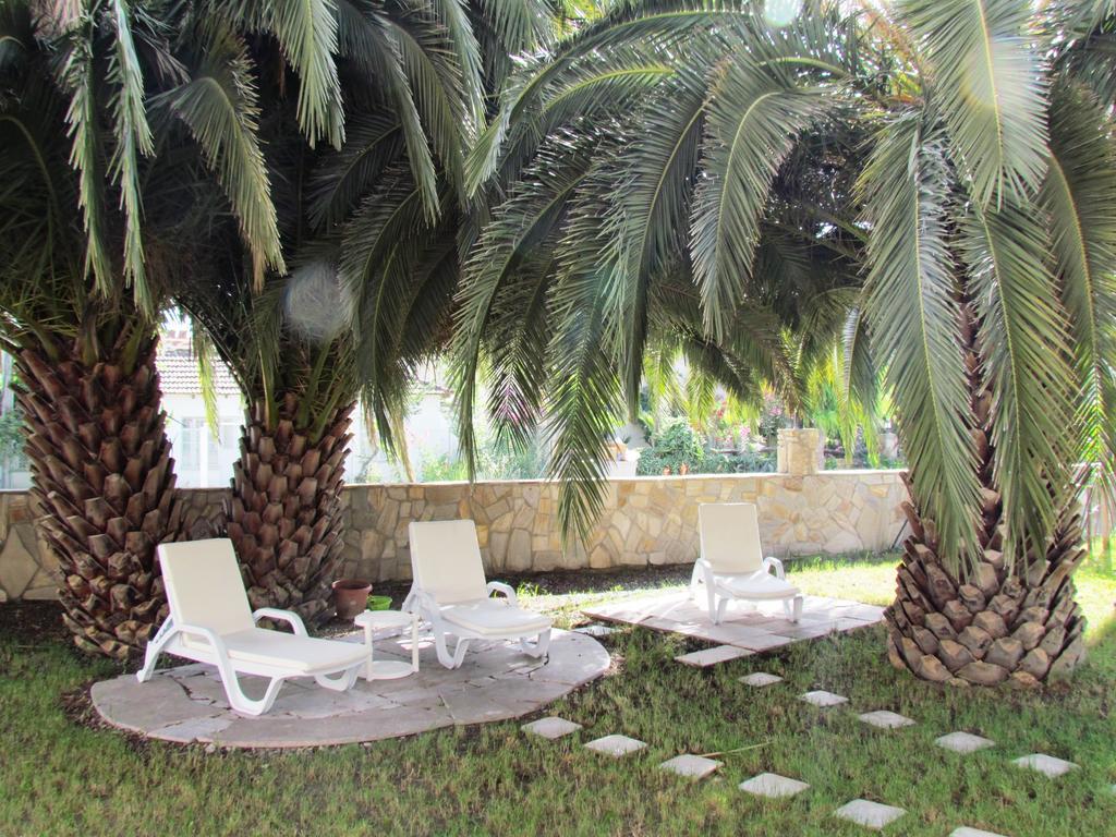 Hotel Palmiye
